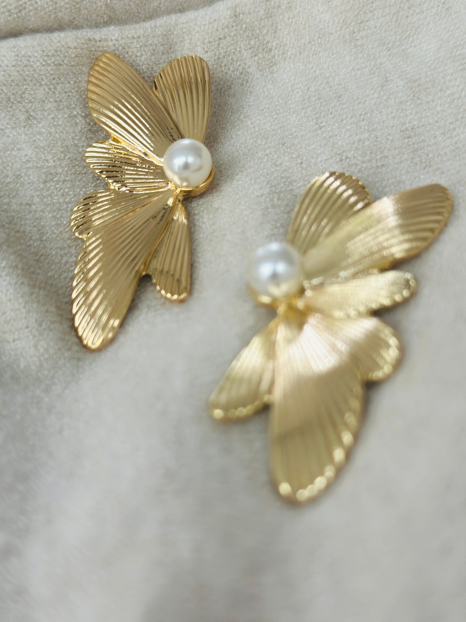 Fly- oorbellen - goud/parel